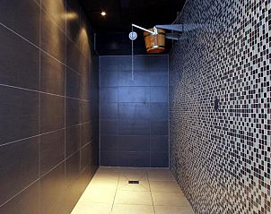 Stijlvolle badkamer in Hotel Bornholm, West-Terschelling, met moderne douche en mozaektegels.