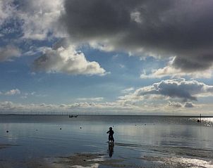 Guest house 230106 - Holiday property Friese bossen - Vakantiehuisje in Oudemirdum