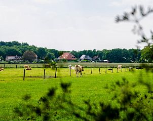 Guest house 230106 - Holiday property Friese bossen - Vakantiehuisje in Oudemirdum