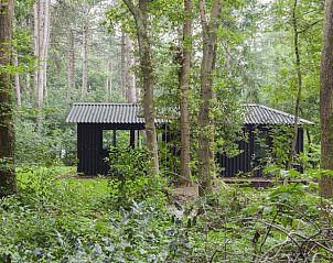 Unterkunft 230107 - Ferienhaus Friese bossen - Huisje in Oudemirdum