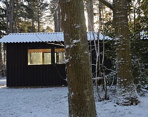 Guest house 230107 - Holiday property Friese bossen - Huisje in Oudemirdum