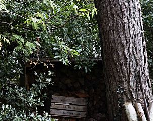 Guest house 230107 - Holiday property Friese bossen - Huisje in Oudemirdum