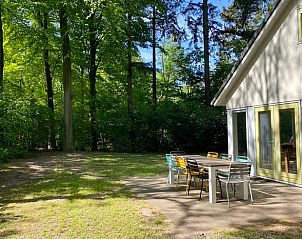 Guest house 230110 - Holiday property Friese bossen - Huisje in Oudemirdum