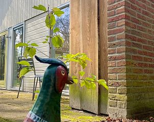 Guest house 230110 - Holiday property Friese bossen - Huisje in Oudemirdum