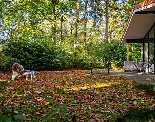 Guest house 230112 - Holiday property Friese bossen - Vakantiehuisje in Oudemirdum