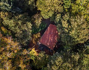 Guest house 230112 - Holiday property Friese bossen - Vakantiehuisje in Oudemirdum