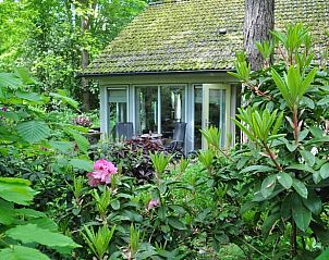 Unterkunft 230117 • Ferienhaus Friese bossen • Vakantiehuis in Oudemirdum 