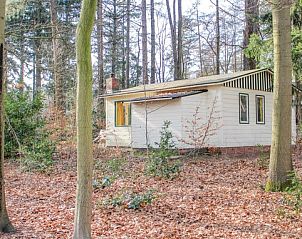 Verblijf 230123 • Vakantiewoning Friese bossen • Vakantiehuis voor 4 personen in Oudemirdum 
