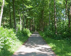 Guest house 230124 - Holiday property Friese bossen - FR135