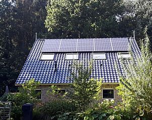 Guest house 230126 - Holiday property Friese bossen - Vakantiehuisje in Oudemirdum