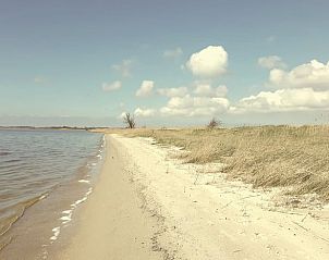 Guest house 230126 - Holiday property Friese bossen - Vakantiehuisje in Oudemirdum