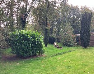 Uitgestrekte heidevelden nabij vakantiewoning FR433 in Appelscha, Friese bossen.