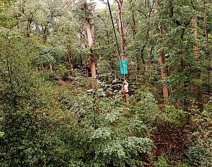 Buitenzijde van vakantiehuis FR433 in Appelscha, Friesland, met zonnig terras.