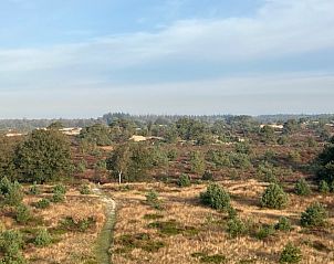 Pittoresk straatbeeld van Appelscha nabij vakantiehuis FR433, Friesland.