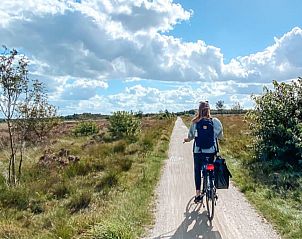 Zithoek met houtkachel in vakantiehuis FR433, Appelscha, met uitzicht op de tuin.