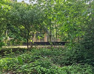 Natuurlijke omgeving rondom Huisje in Appelscha, vakantiehuis in Friese bossen, Friesland.