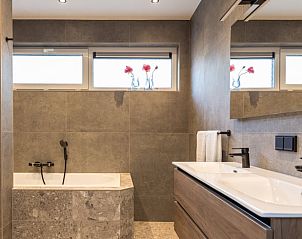 Luxe badkamer met dubbele wastafel in Huisje in Appelscha, vakantiehuis in Friese bossen, Friesland.