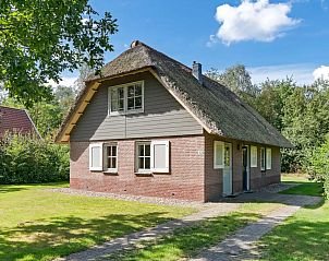 Unterkunft 2303121 - Ferienhaus Friese bossen - Keizersmantel 8 | Comfort
