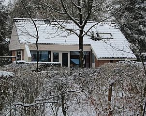 Unterkunft 2303128 - Ferienhaus Friese bossen - Boshuis Daaldersplakje