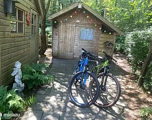 Unterkunft 2303128 - Ferienhaus Friese bossen - Boshuis Daaldersplakje