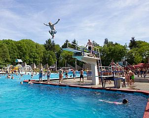 Verblijf 230327 - Vakantiewoning Friese bossen - Huisje in Appelscha