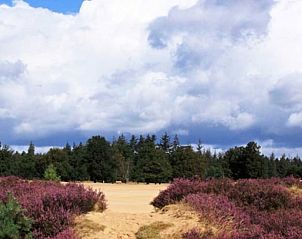 Verblijf 230327 - Vakantiewoning Friese bossen - Huisje in Appelscha
