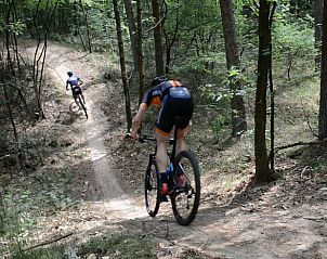 Verblijf 230327 - Vakantiewoning Friese bossen - Huisje in Appelscha