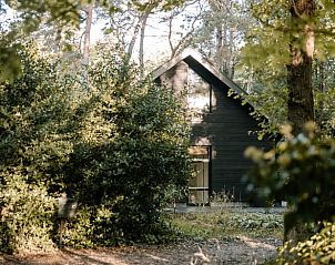 Ferienhaus in Appelscha, ein Ferienhaus in den friesischen Wldern von Appelscha, Friesland, umgeben von ppiger Natur und hohen Bumen.