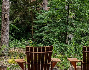 Unterkunft 230347 - Ferienhaus Friese bossen - Huisje in Appelscha