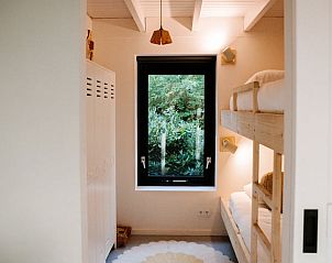 Unterkunft 230347 - Ferienhaus Friese bossen - Huisje in Appelscha