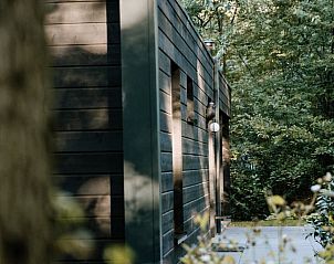 Unterkunft 230347 - Ferienhaus Friese bossen - Huisje in Appelscha