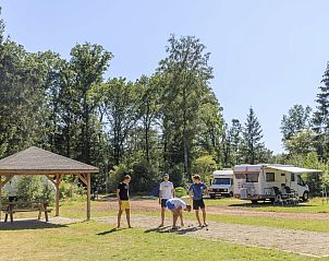 Guest house 230353 • Holiday property Friese bossen • RCN de Roggeberg | Camperplaats 