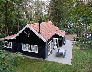 Guest house 230361 • Holiday property Friese bossen • Vakantiehuisje in Appelscha 