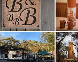 Vakantiehuisje in Appelscha biedt een gezellige binnenruimte in de Friese bossen, ideaal voor ontspanning in Friesland.