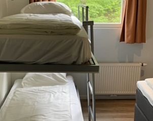 Verblijf 230363 - Vakantiewoning Friese bossen - Vakantiehuisje in Appelscha