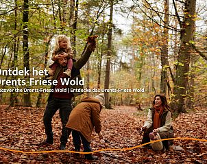 Ontdek het Drents-Friese Wold vanuit Unbrick One, vakantiehuis in Appelscha, Friesland.