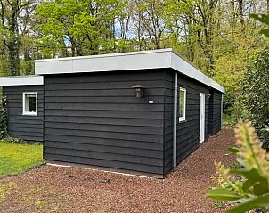 Huisje in Appelscha, een charmant vakantiehuis in de Friese bossen van Friesland, omgeven door groen.