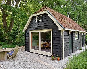 Verblijf 230387 • Vakantiewoning Friese bossen • Een knus 2P vakantiehuis met tuin aan de bosrand van het 