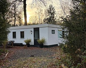 Bungalow het Goudhaantje in Appelscha, Friesland, surrounded by Frisian forests, offers a serene vacation home experience in nature.