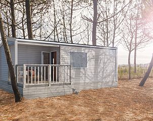 Guest house 230395 - Fixed travel trailer Friese bossen - Mobil home de Honingbij