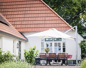 Zonnig terras van vakantiehuis in Oldeberkoop, Friese bossen, met parasol.