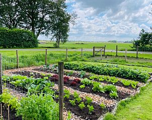 Moestuin bij Huisje in Oldeberkoop, vakantiehuis in de Friese bossen, Friesland.