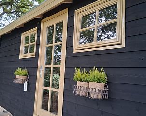 Verblijf 230413 - Vakantiewoning Friese bossen - Huisje in Oldeberkoop