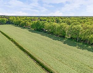 Verblijf 230415 - Vakantiewoning Friese bossen - Vakantiehuis