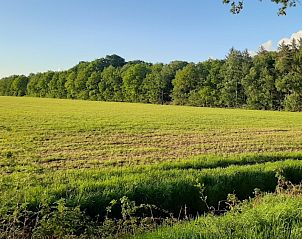 Verblijf 230415 - Vakantiewoning Friese bossen - Vakantiehuis