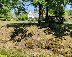 Guest house 230503 - Holiday property Friese bossen - Vakantiehuisje in Ruigahuizen