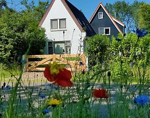 Guest house 230503 - Holiday property Friese bossen - Vakantiehuisje in Ruigahuizen