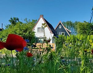 Guest house 230503 - Holiday property Friese bossen - Vakantiehuisje in Ruigahuizen