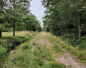 Guest house 230503 - Holiday property Friese bossen - Vakantiehuisje in Ruigahuizen