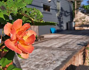 Verblijf 230504 - Vakantiewoning Friese bossen - Huisje in Ruigahuizen